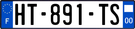 HT-891-TS