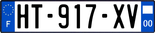 HT-917-XV