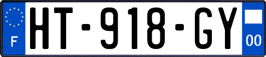 HT-918-GY