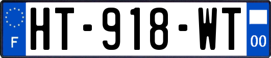 HT-918-WT