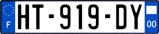 HT-919-DY