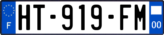 HT-919-FM