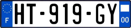 HT-919-GY