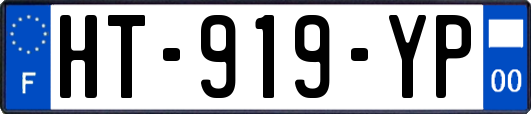 HT-919-YP
