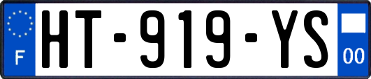 HT-919-YS