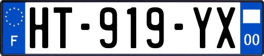 HT-919-YX