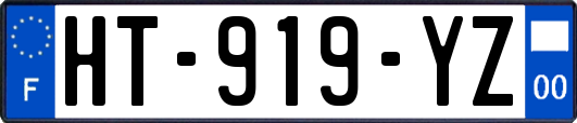 HT-919-YZ