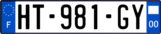 HT-981-GY