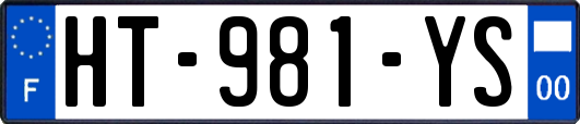 HT-981-YS