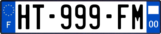 HT-999-FM