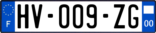 HV-009-ZG