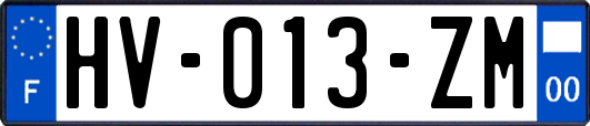 HV-013-ZM