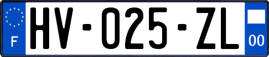 HV-025-ZL