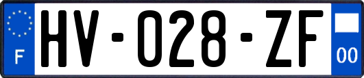 HV-028-ZF
