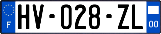 HV-028-ZL