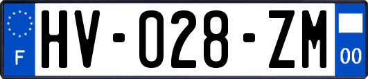 HV-028-ZM