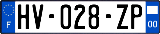 HV-028-ZP
