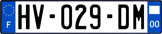 HV-029-DM