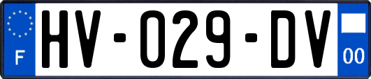 HV-029-DV