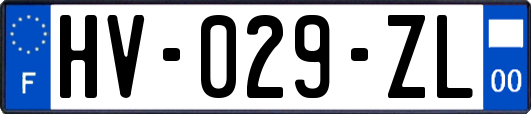 HV-029-ZL