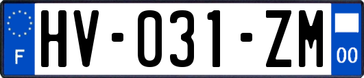 HV-031-ZM