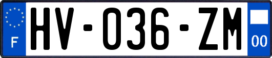 HV-036-ZM