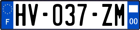 HV-037-ZM