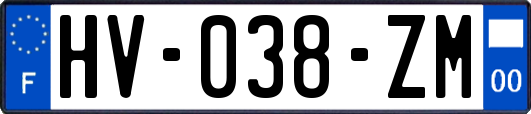 HV-038-ZM