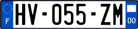 HV-055-ZM
