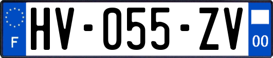 HV-055-ZV