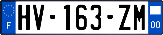 HV-163-ZM