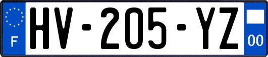 HV-205-YZ