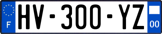 HV-300-YZ