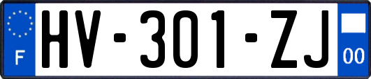 HV-301-ZJ
