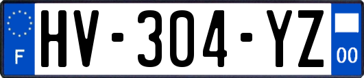 HV-304-YZ