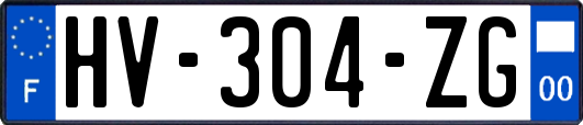 HV-304-ZG