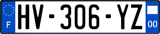 HV-306-YZ