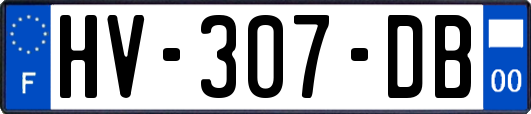 HV-307-DB