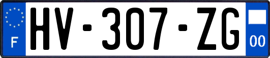 HV-307-ZG