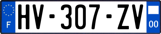 HV-307-ZV