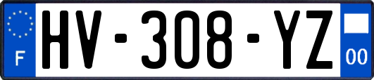 HV-308-YZ