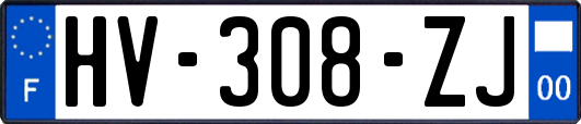 HV-308-ZJ