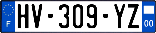 HV-309-YZ