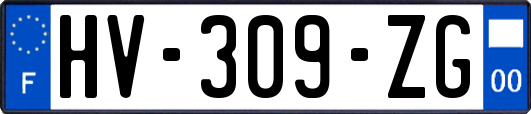 HV-309-ZG
