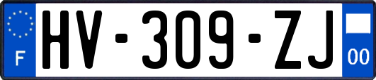 HV-309-ZJ
