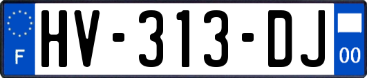 HV-313-DJ