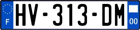 HV-313-DM
