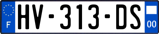 HV-313-DS