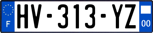 HV-313-YZ
