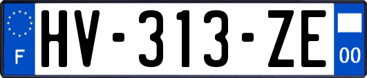 HV-313-ZE